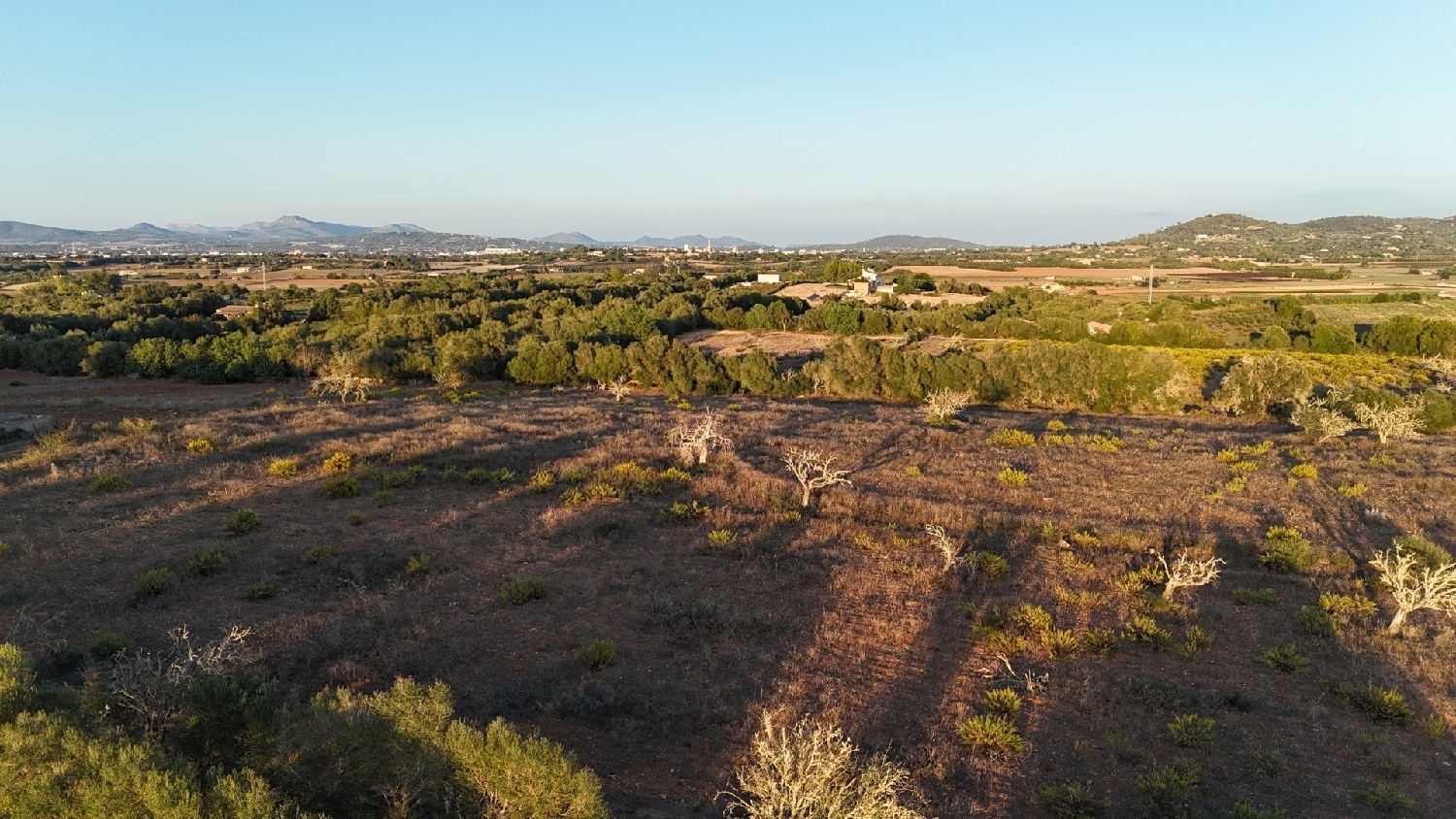 à vendre maison de campagne Manacor Llevant 18