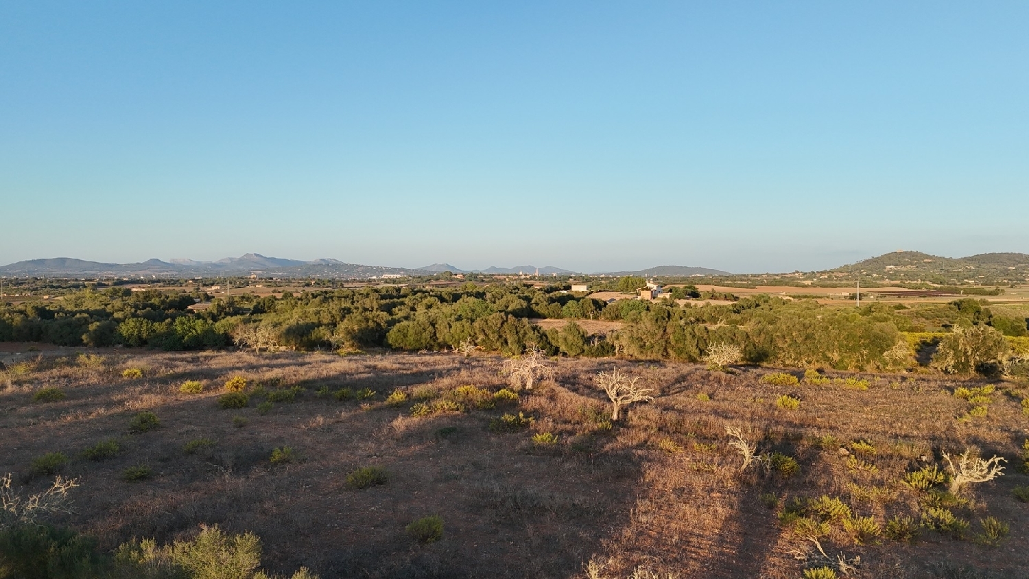 à vendre maison de campagne Manacor Llevant 19