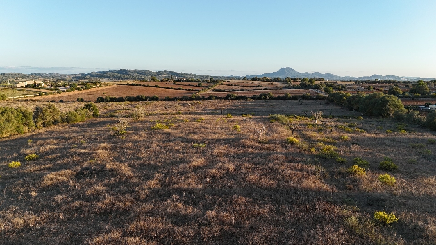 à vendre maison de campagne Manacor Llevant 15