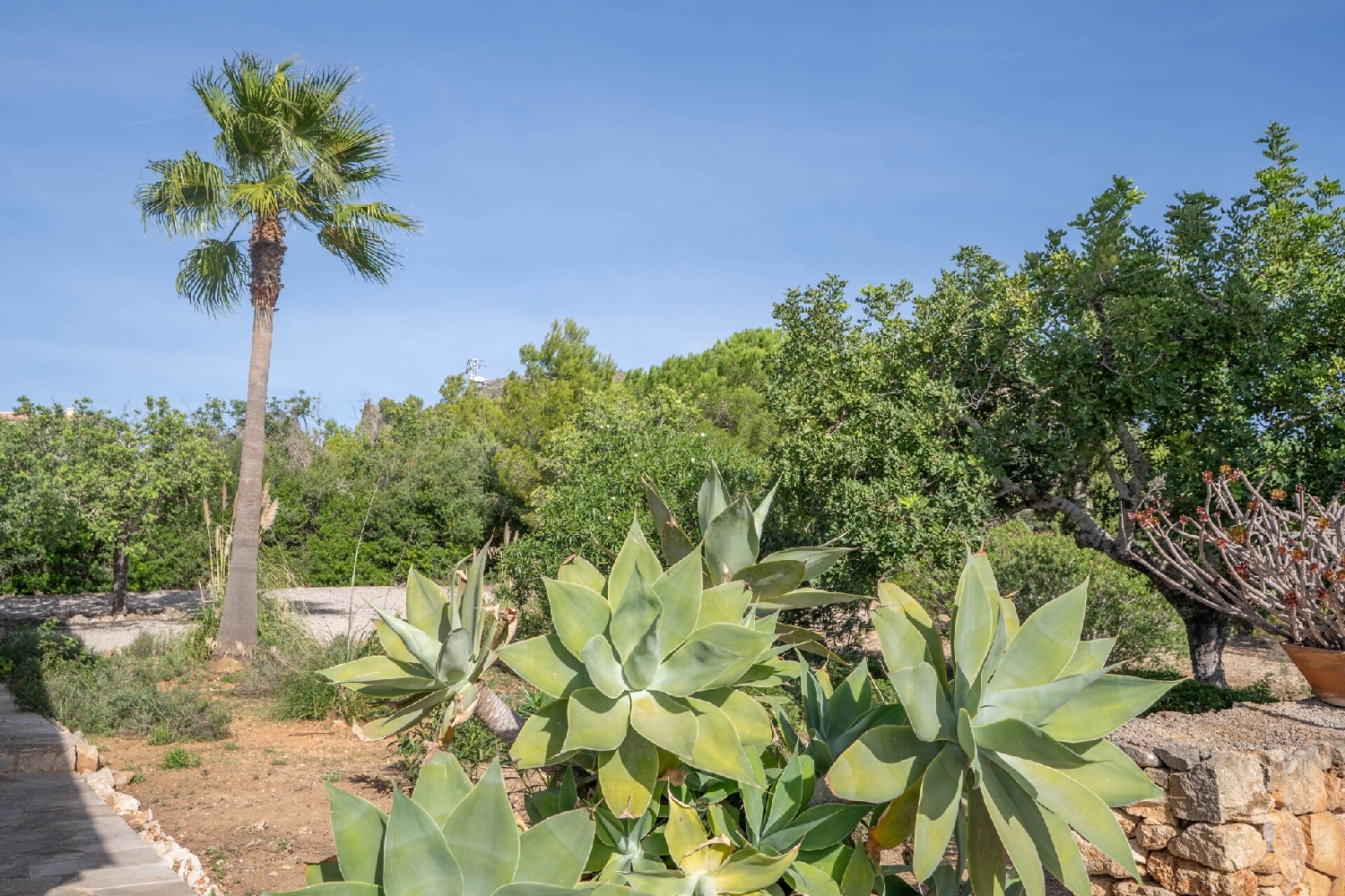 à vendre maison de campagne Manacor Llevant 7