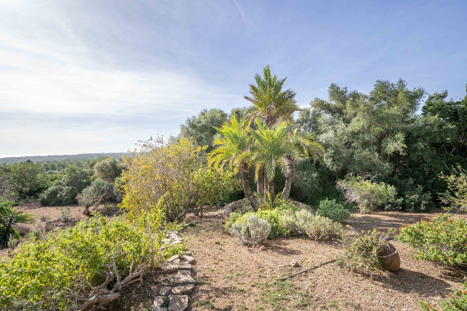 à vendre maison de campagne Manacor Llevant 5