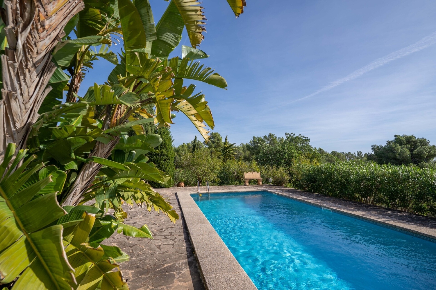 à vendre maison de campagne Manacor Llevant 4