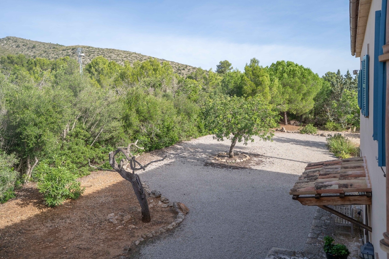 à vendre maison de campagne Manacor Llevant 6