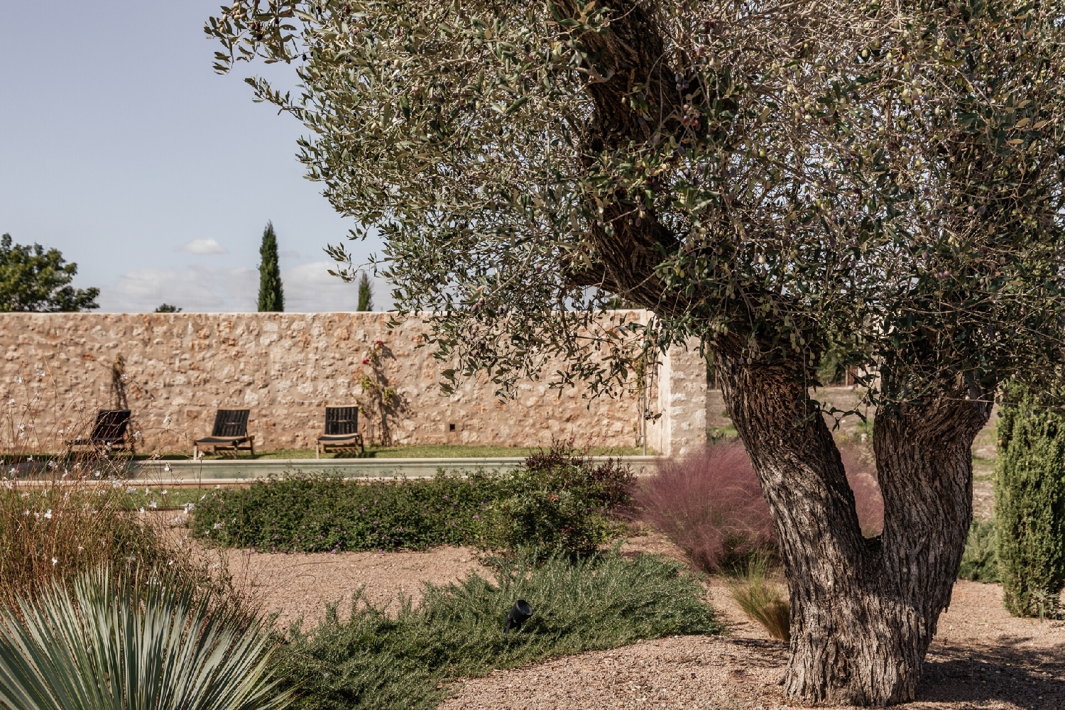 à vendre maison de campagne Maria De La Salut Pla (Es) 14