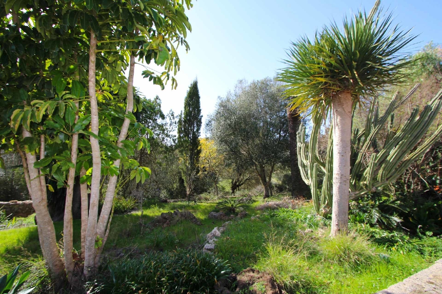 à vendre maison de campagne Sant Llorenç Des Cardassar Llevant 12