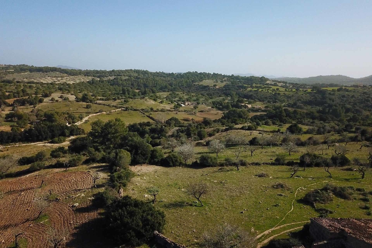 à vendre maison de campagne Sant Llorenç Des Cardassar Llevant 3