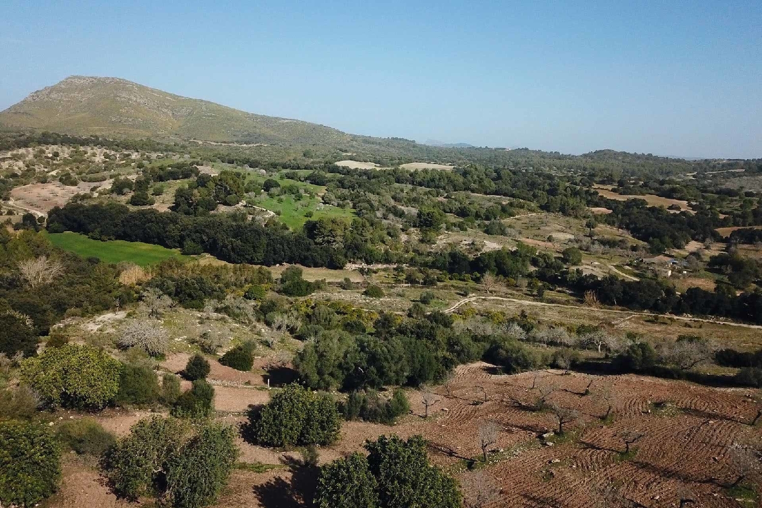 à vendre maison de campagne Sant Llorenç Des Cardassar Llevant 4