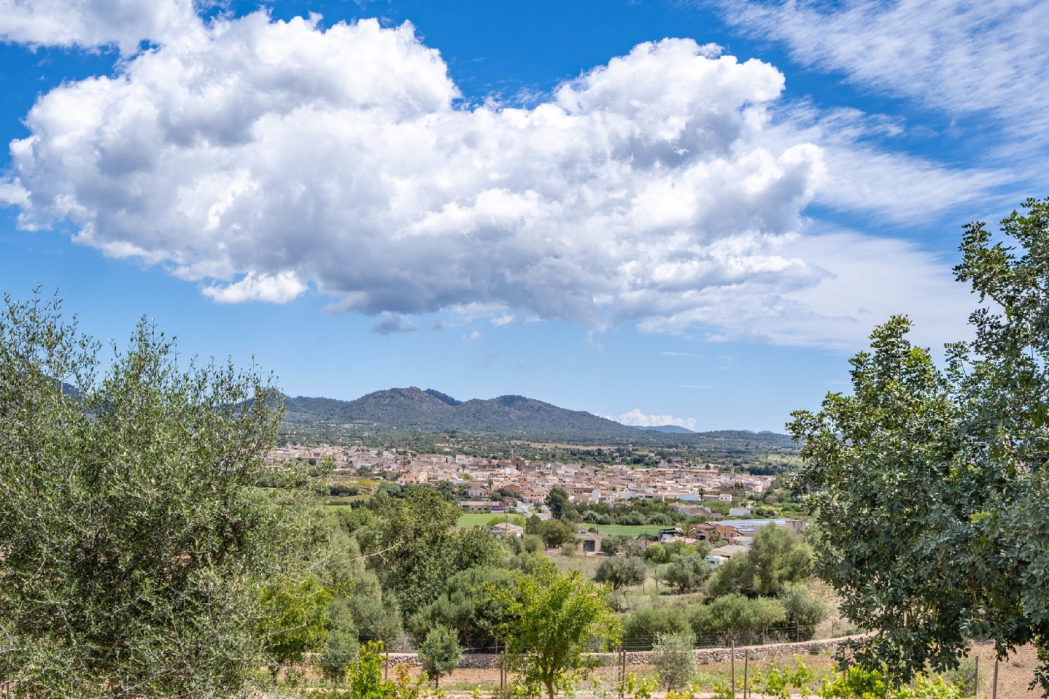 à vendre maison de campagne Sant Llorenç Des Cardassar Llevant 3