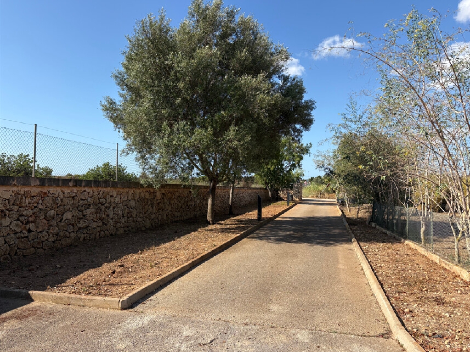 à vendre maison de campagne Sant Llorenç Des Cardassar Llevant 3
