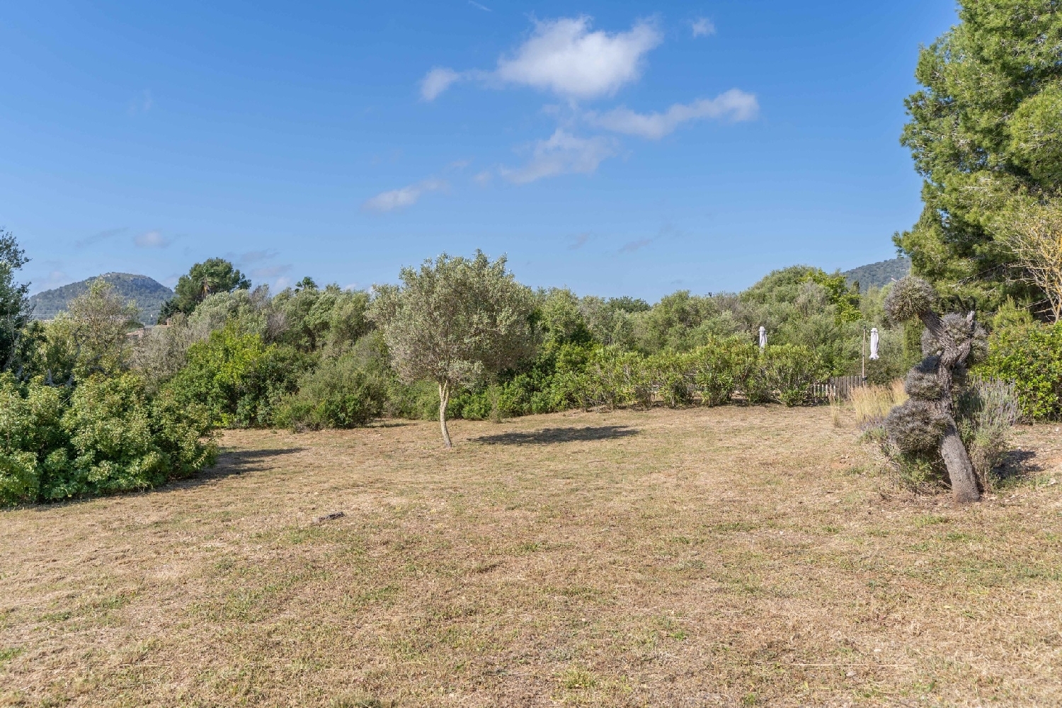 à vendre maison de campagne Son Servera Llevant 28