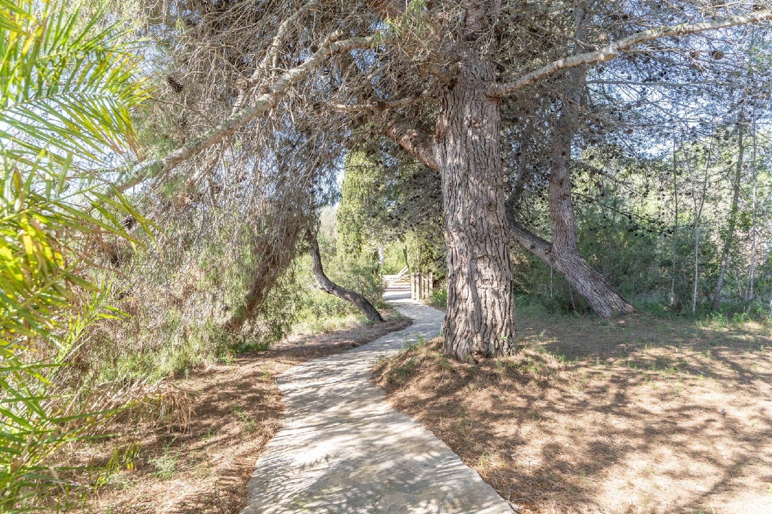 à vendre maison de campagne Son Servera Llevant 22