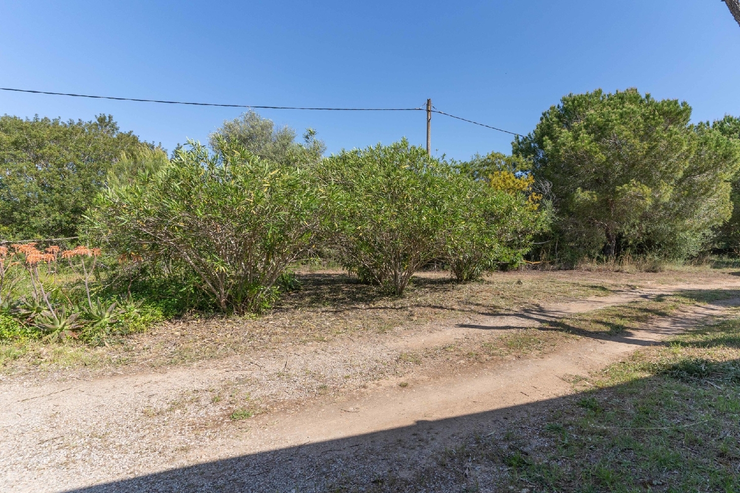 à vendre maison de campagne Son Servera Llevant 27