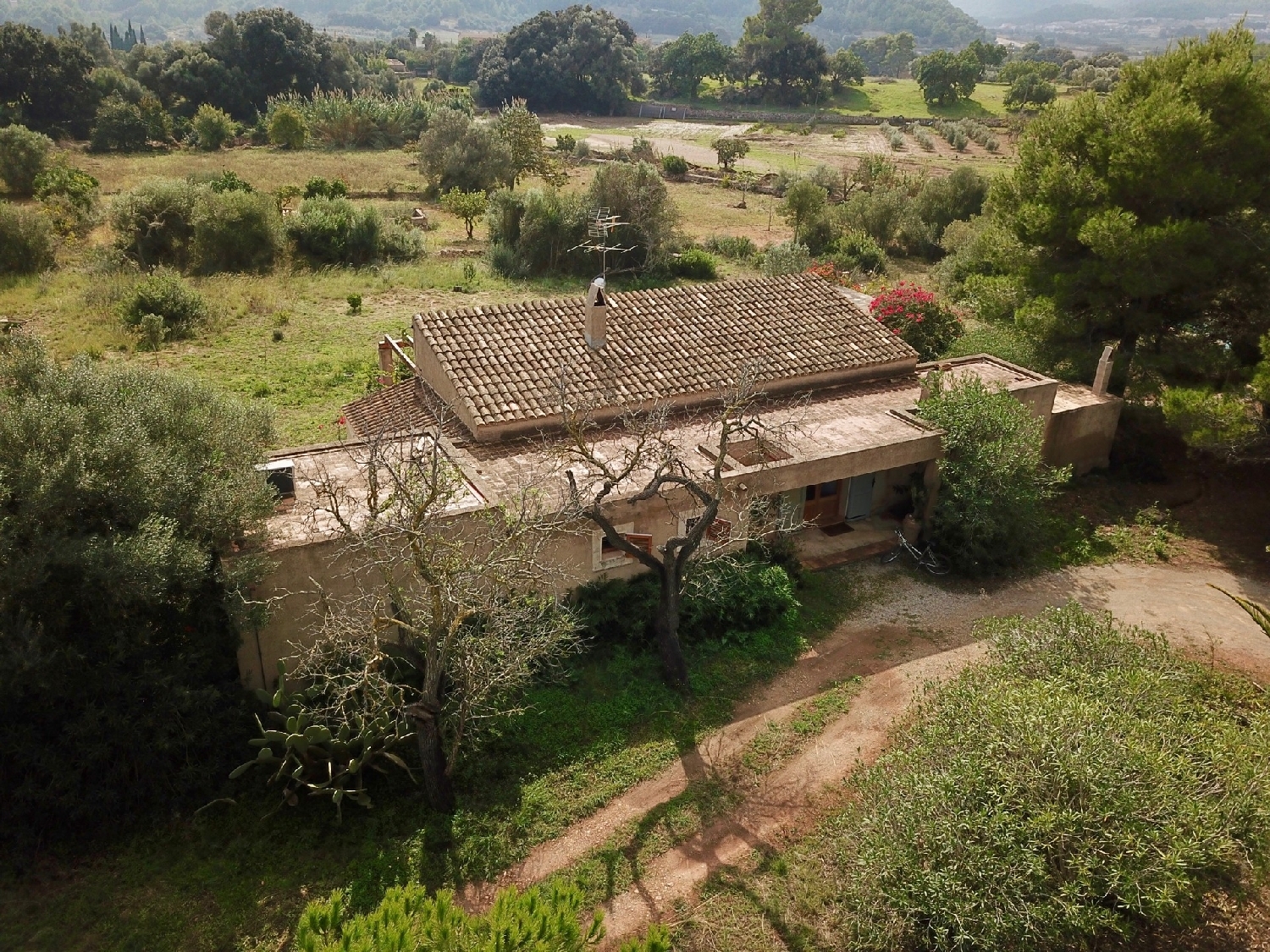 à vendre maison de campagne Son Servera Llevant 2