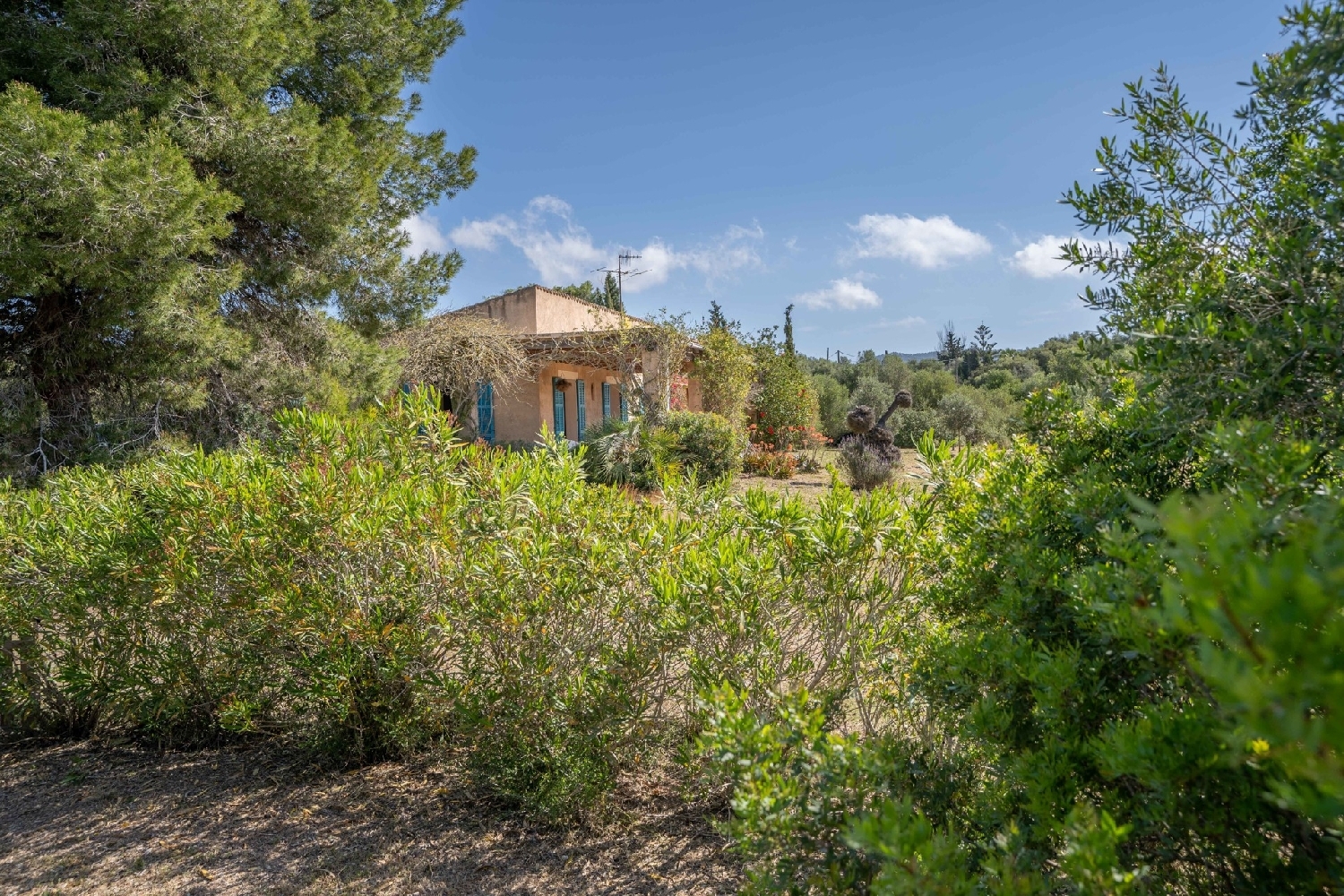 à vendre maison de campagne Son Servera Llevant 26