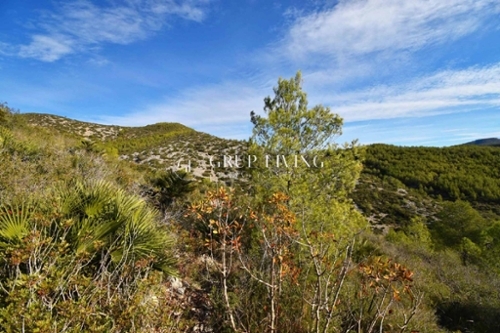 Olivella Garraf hus foto 6323825