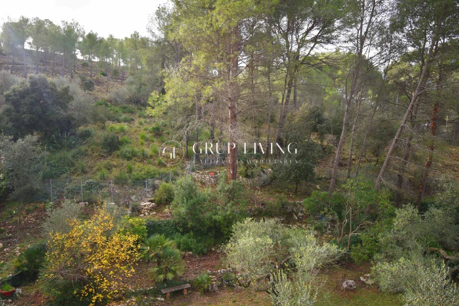  kaufen Haus Olivella Garraf 5