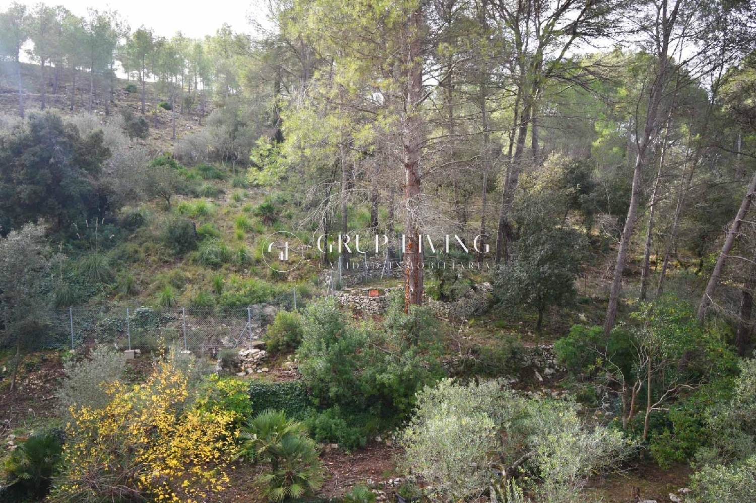  kaufen Haus Olivella Garraf 4