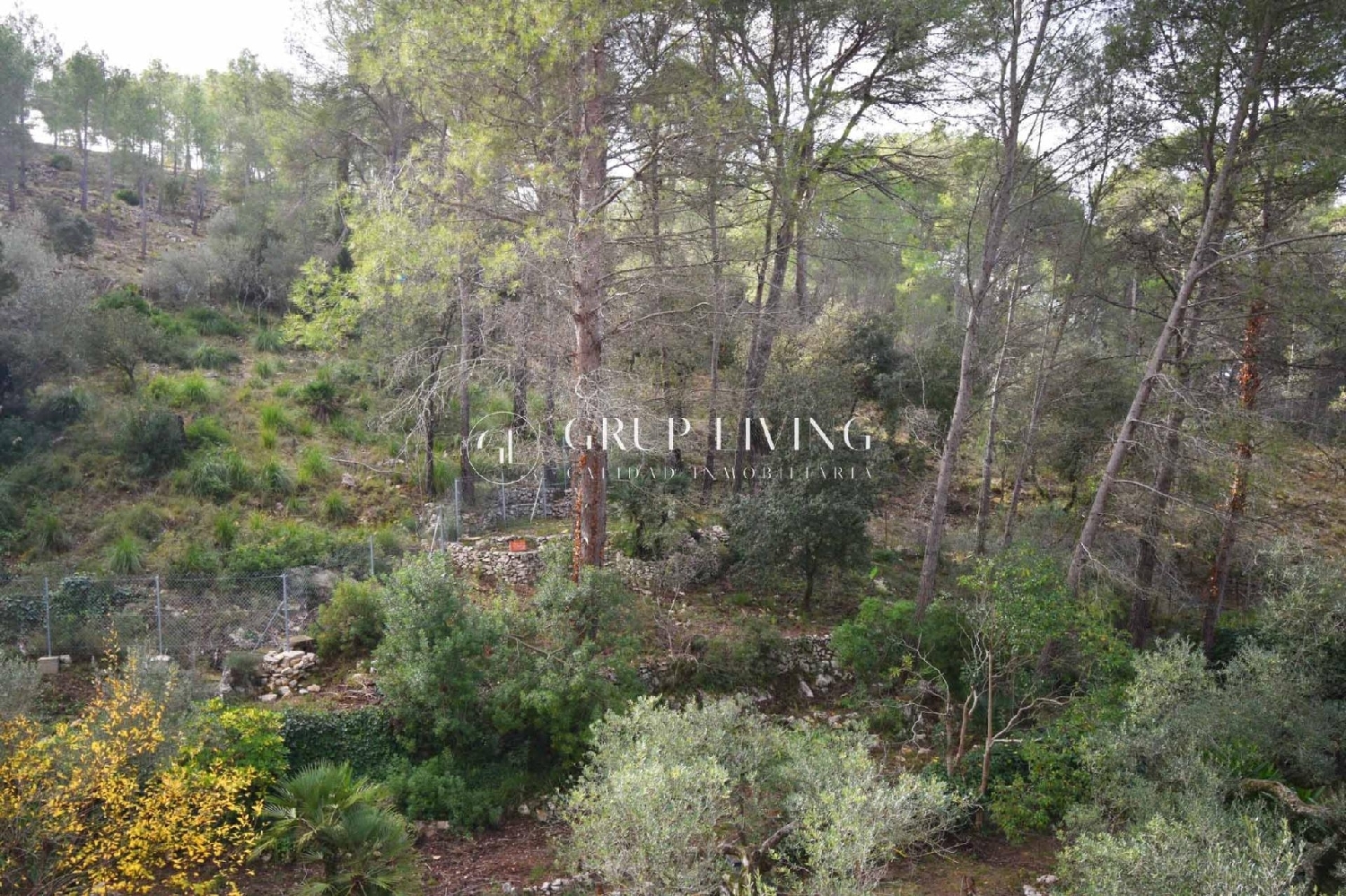  kaufen Haus Olivella Garraf 2