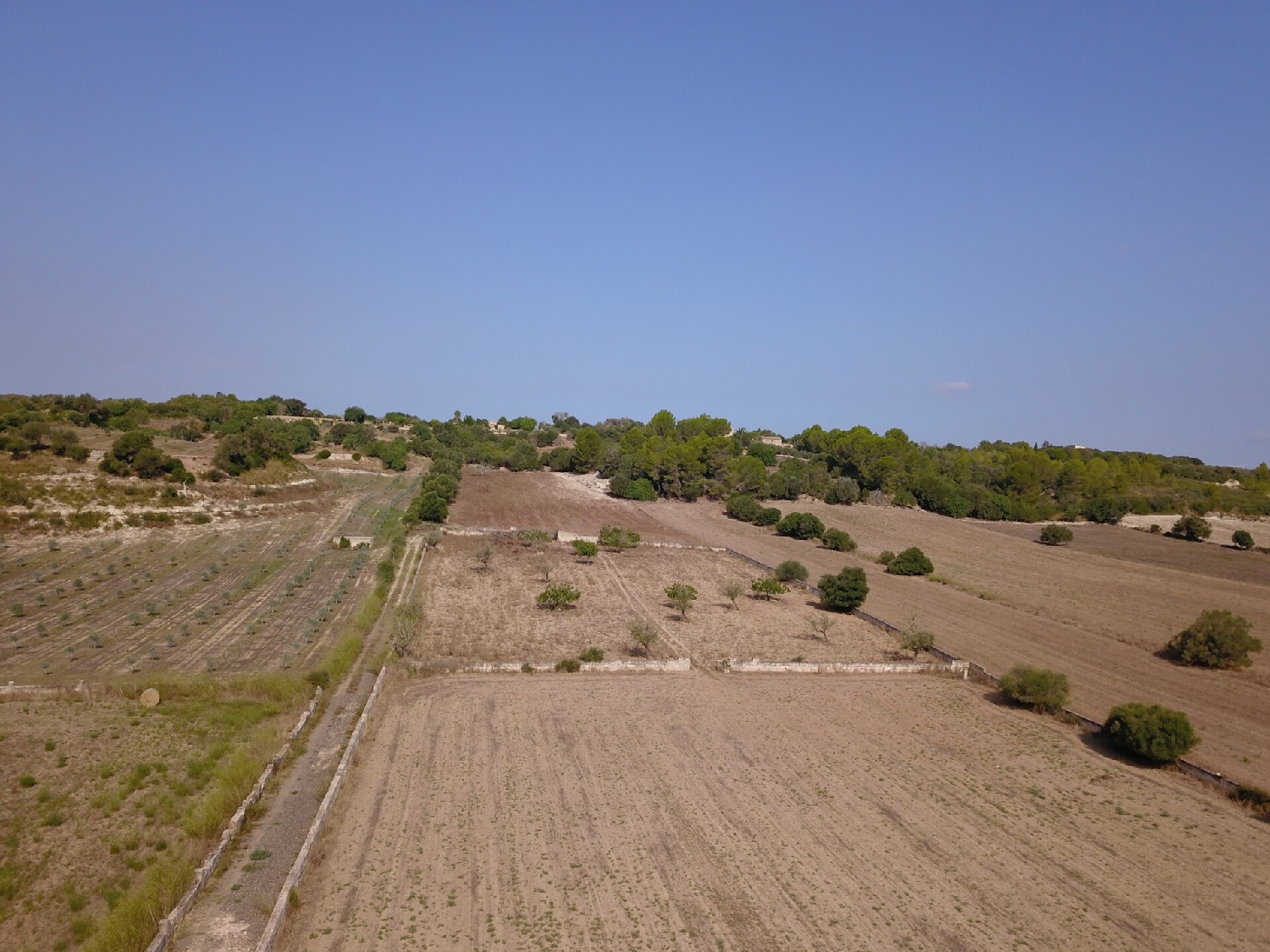 for sale plot Ariany Pla (Es) 1
