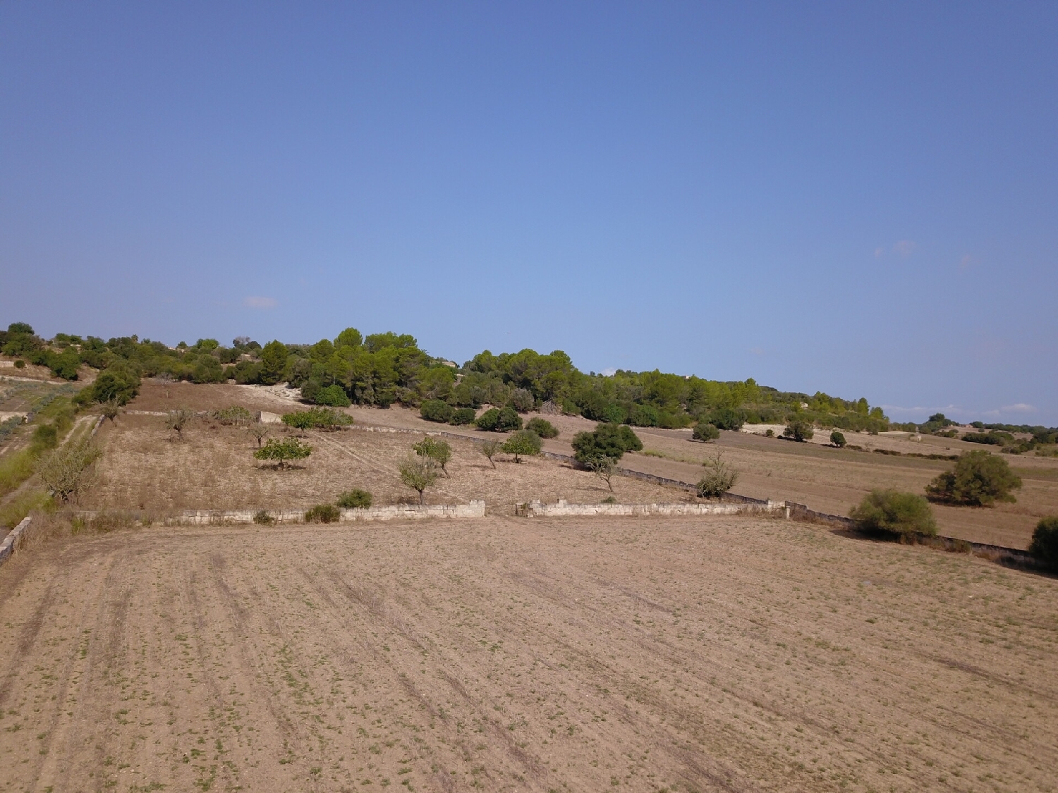 for sale plot Ariany Pla (Es) 6
