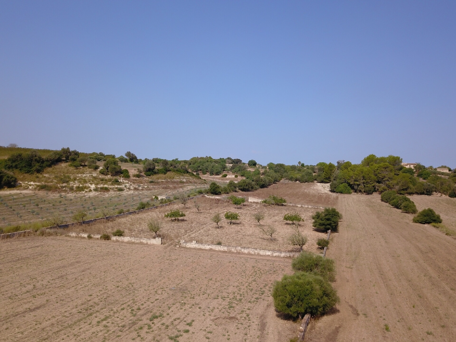 for sale plot Ariany Pla (Es) 5