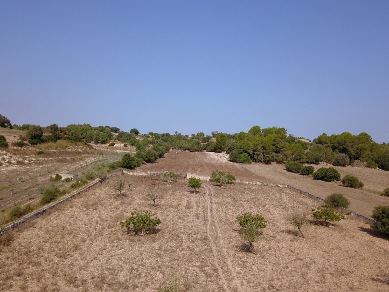 for sale plot Ariany Pla (Es) 4