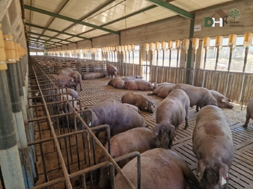 Badajoz Casco Antiguo-Centro Badajoz perceel foto 6324002