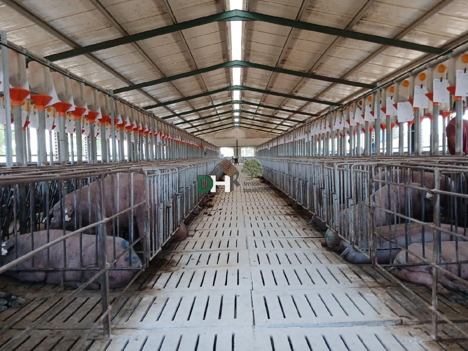  te koop perceel Badajoz Casco Antiguo-Centro Badajoz 2