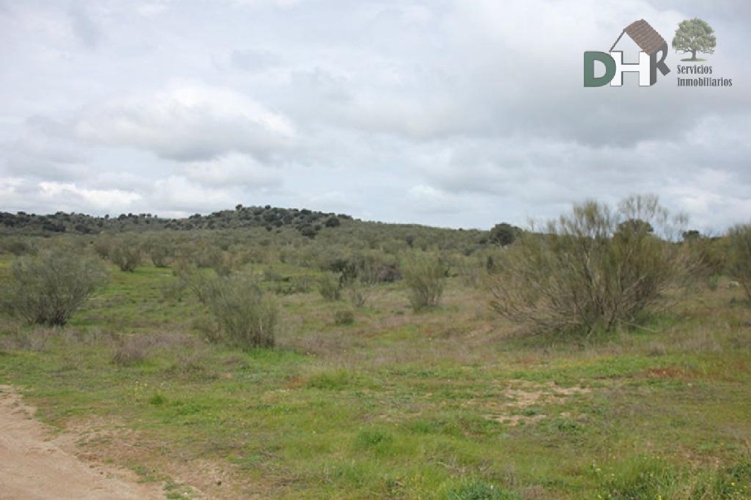 kaufen Grundstück Casar De Cáceres Tajo-Salor 7