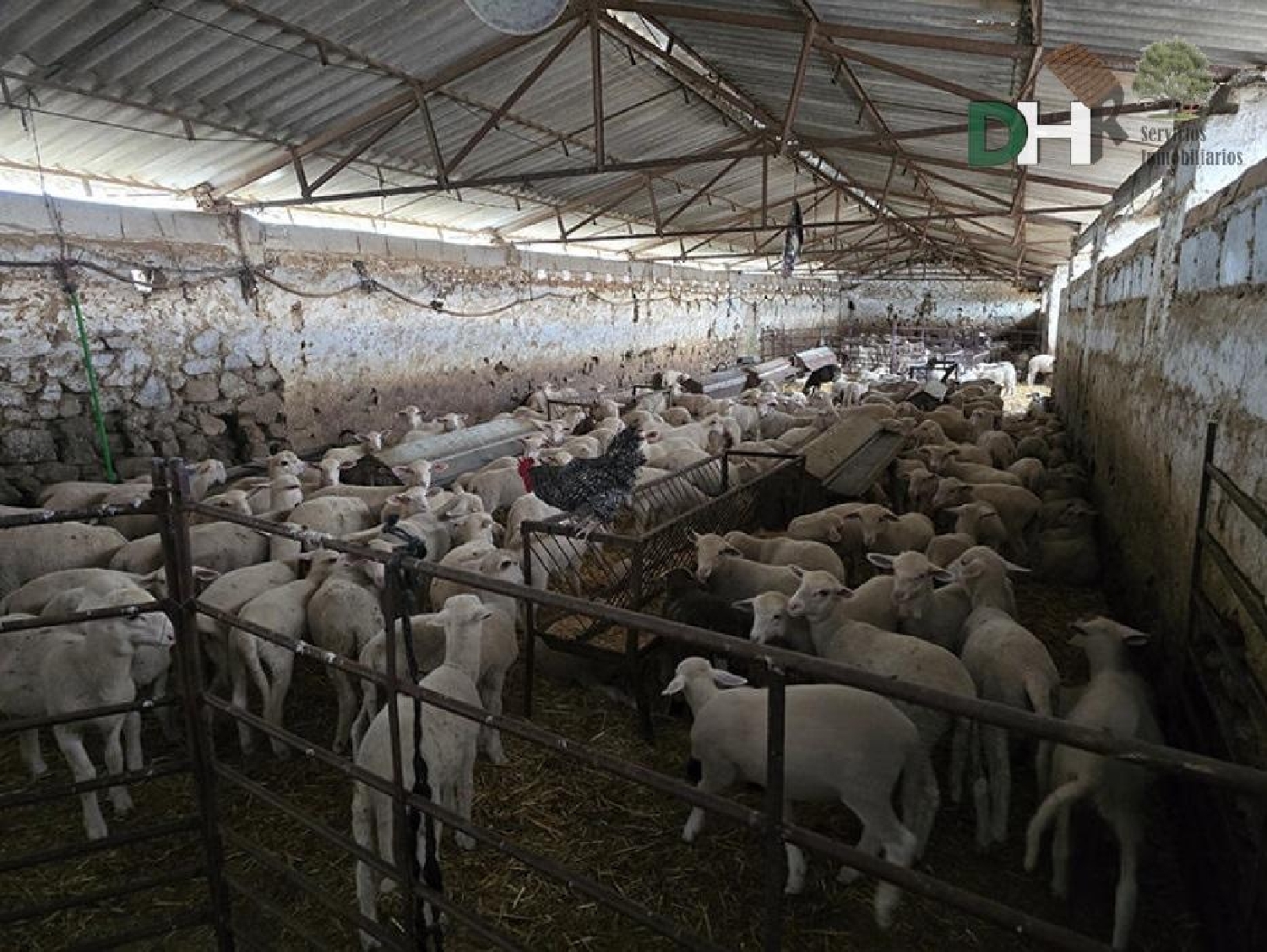 kaufen Grundstück Casar De Cáceres Tajo-Salor 4