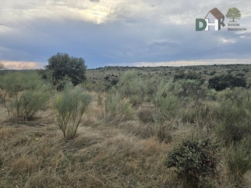 Casar De Cáceres Tajo-Salor Grundstück Bild 6323885