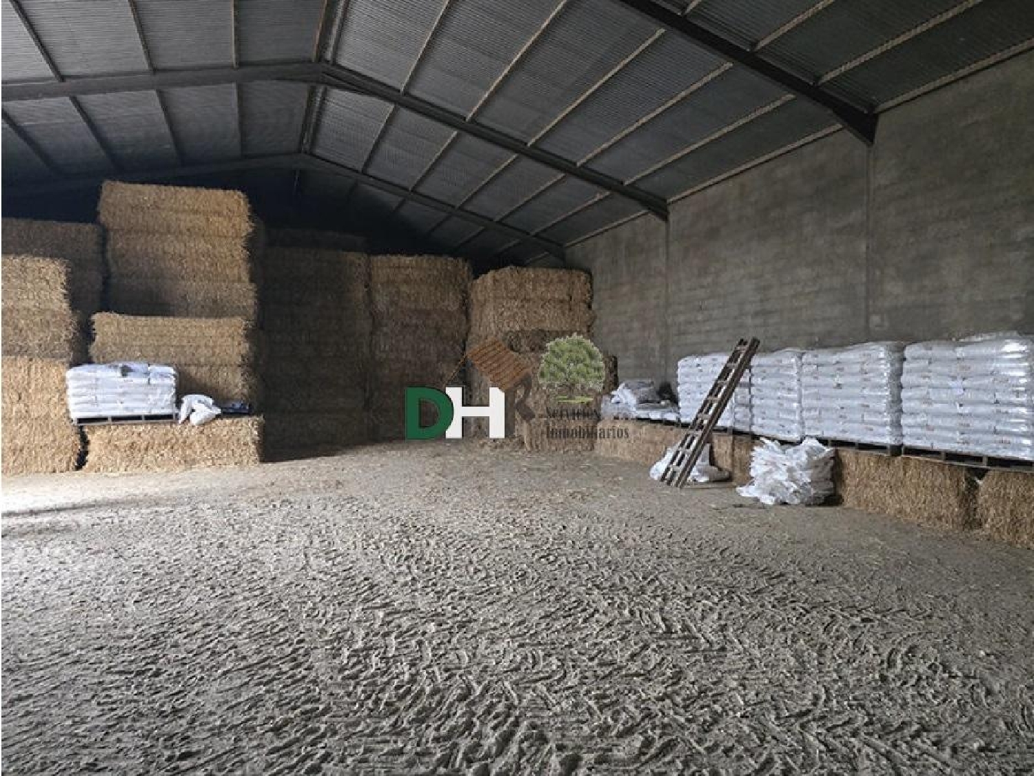 kaufen Grundstück Casar De Cáceres Tajo-Salor 3