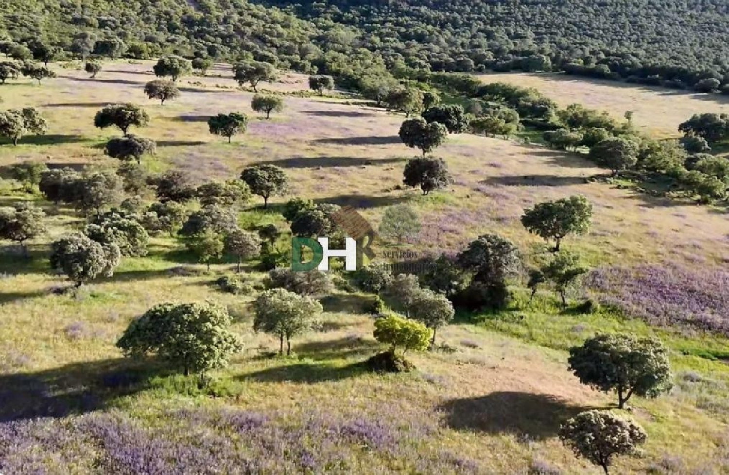  till salu tomt Ciudad Real Centro-El Pilar Campo De Calatrava 5