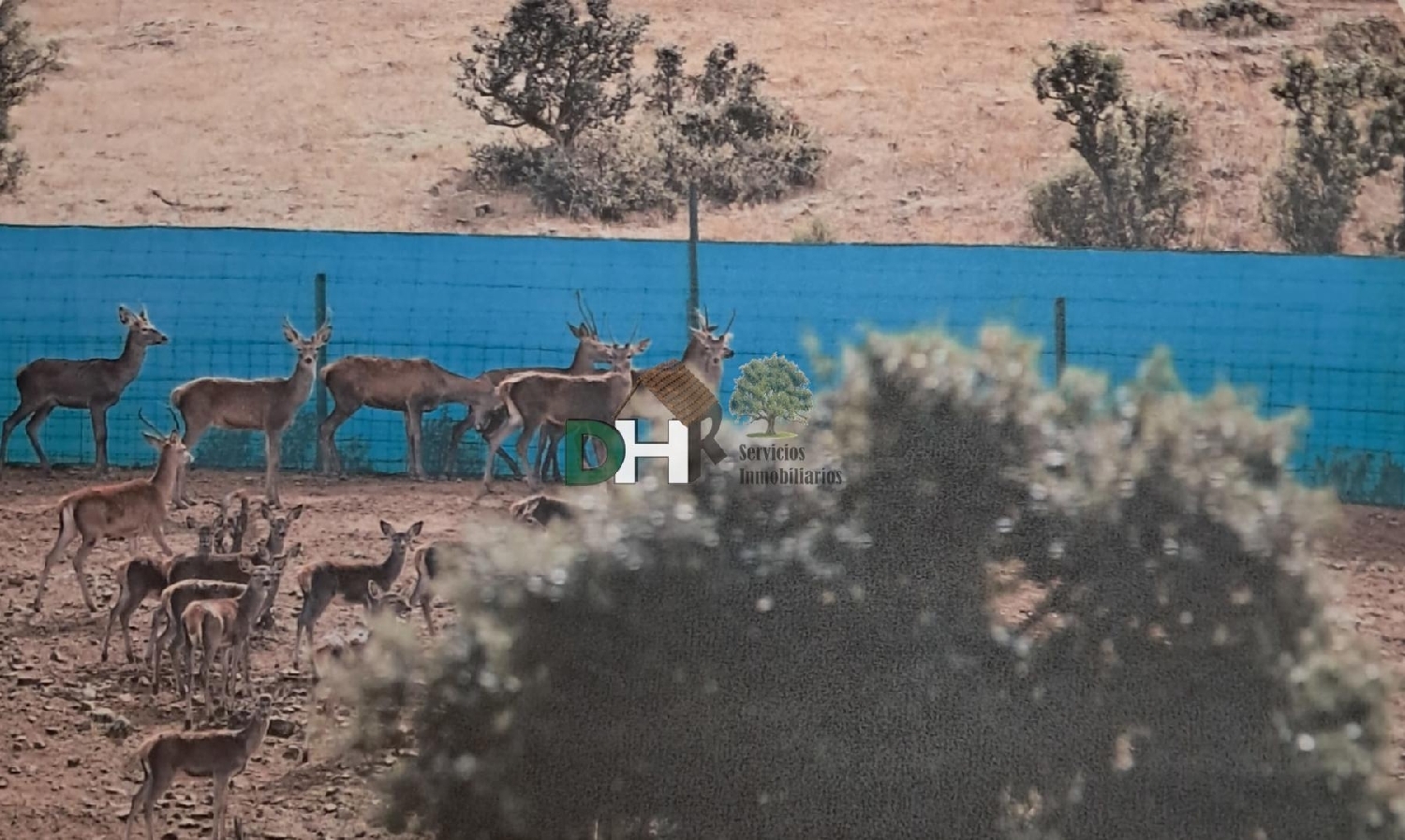  till salu tomt Ciudad Real Centro-El Pilar Campo De Calatrava 4