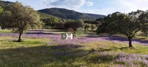 Ciudad Real Centro-El Pilar Campo De Calatrava tomt foto 6323929