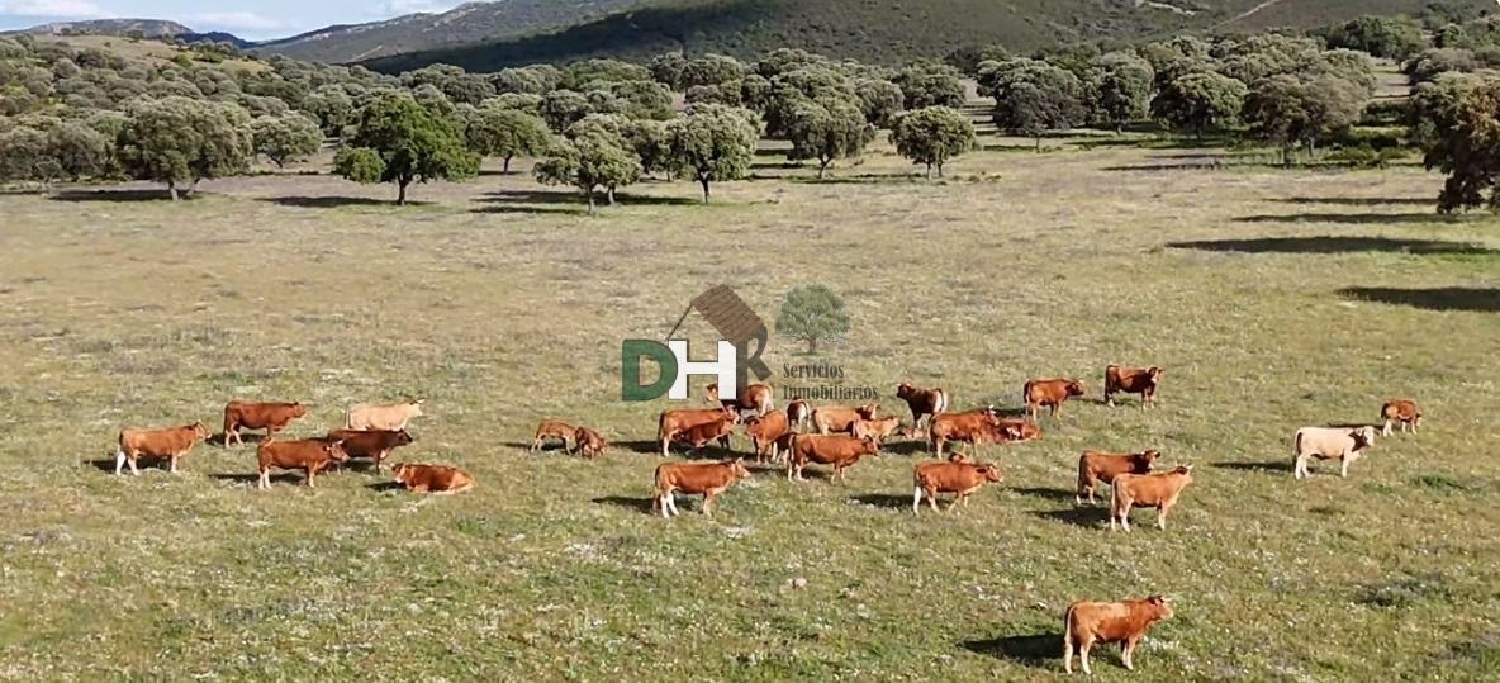  till salu tomt Ciudad Real Centro-El Pilar Campo De Calatrava 7