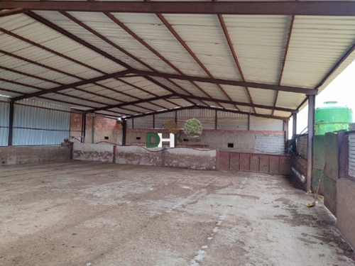 Doñinos De Salamanca Campo De Salamanca tomt foto 6323928