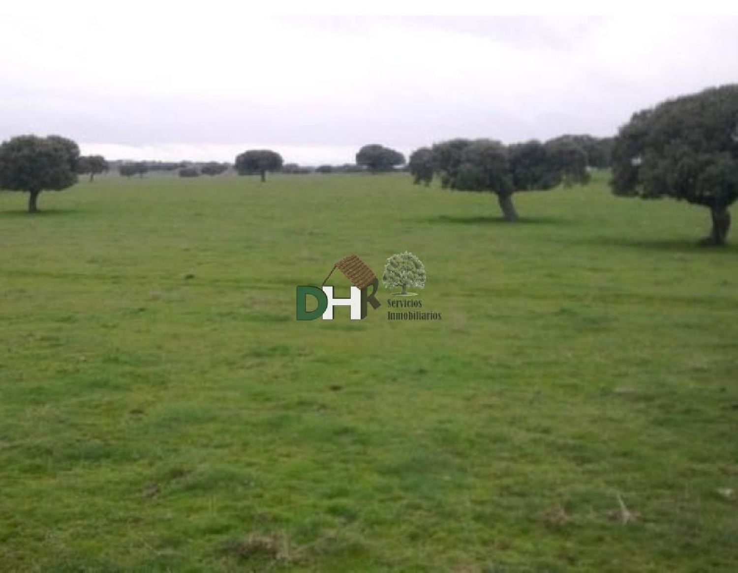  kaufen Grundstück Doñinos De Salamanca Campo De Salamanca 4