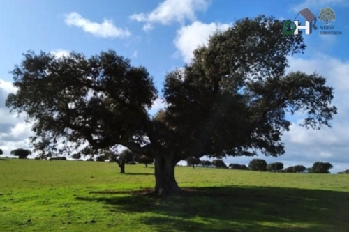 Doñinos De Salamanca Campo De Salamanca Grundstück Bild 6324000