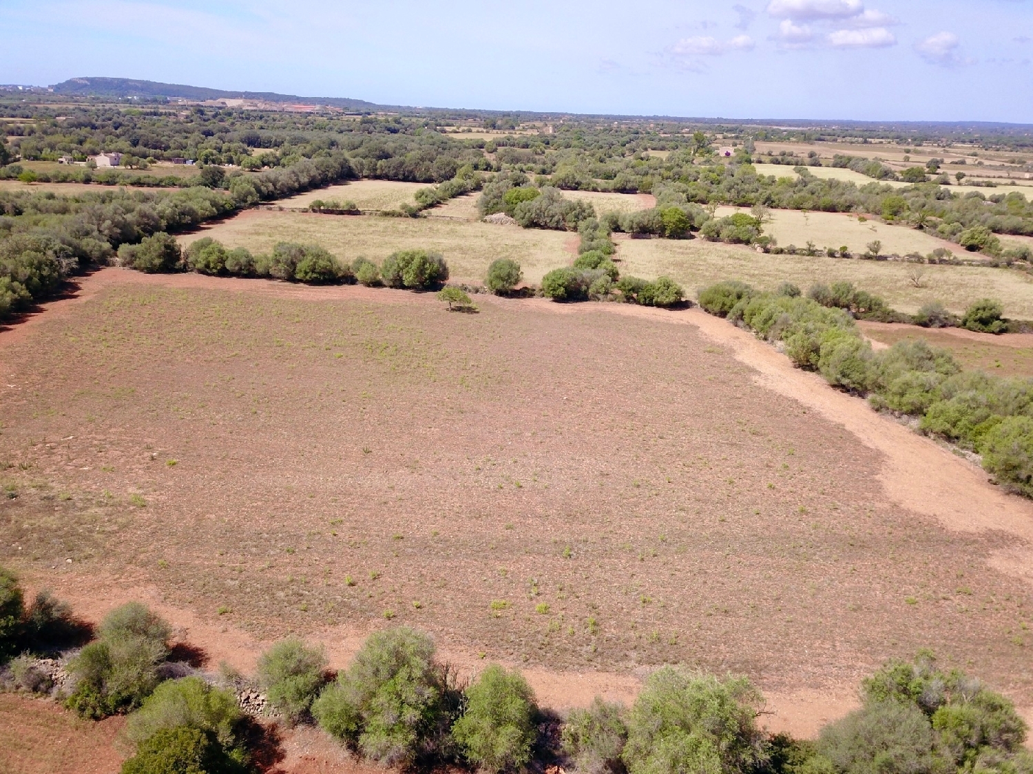 for sale plot Felanitx Sud 4