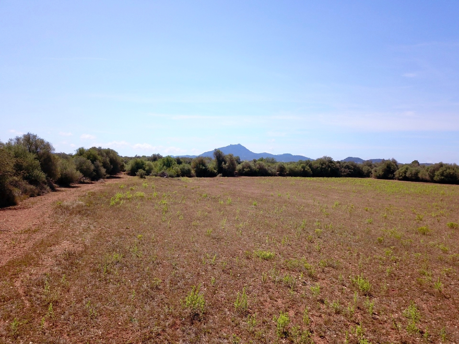for sale plot Felanitx Sud 13