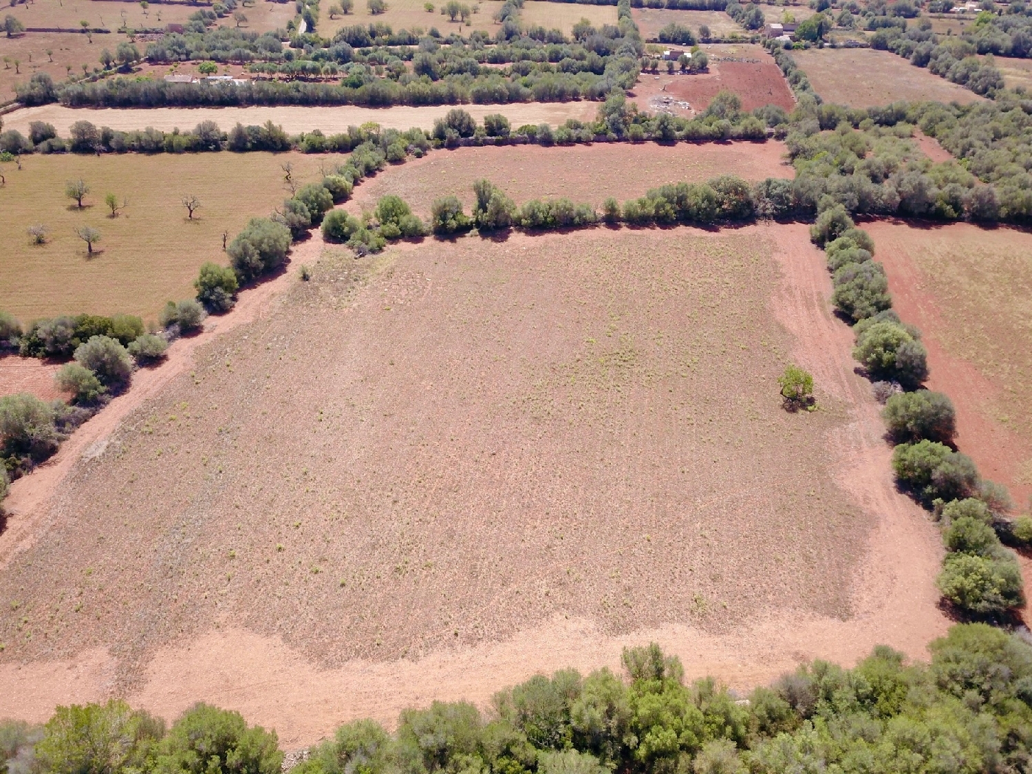 for sale plot Felanitx Sud 7