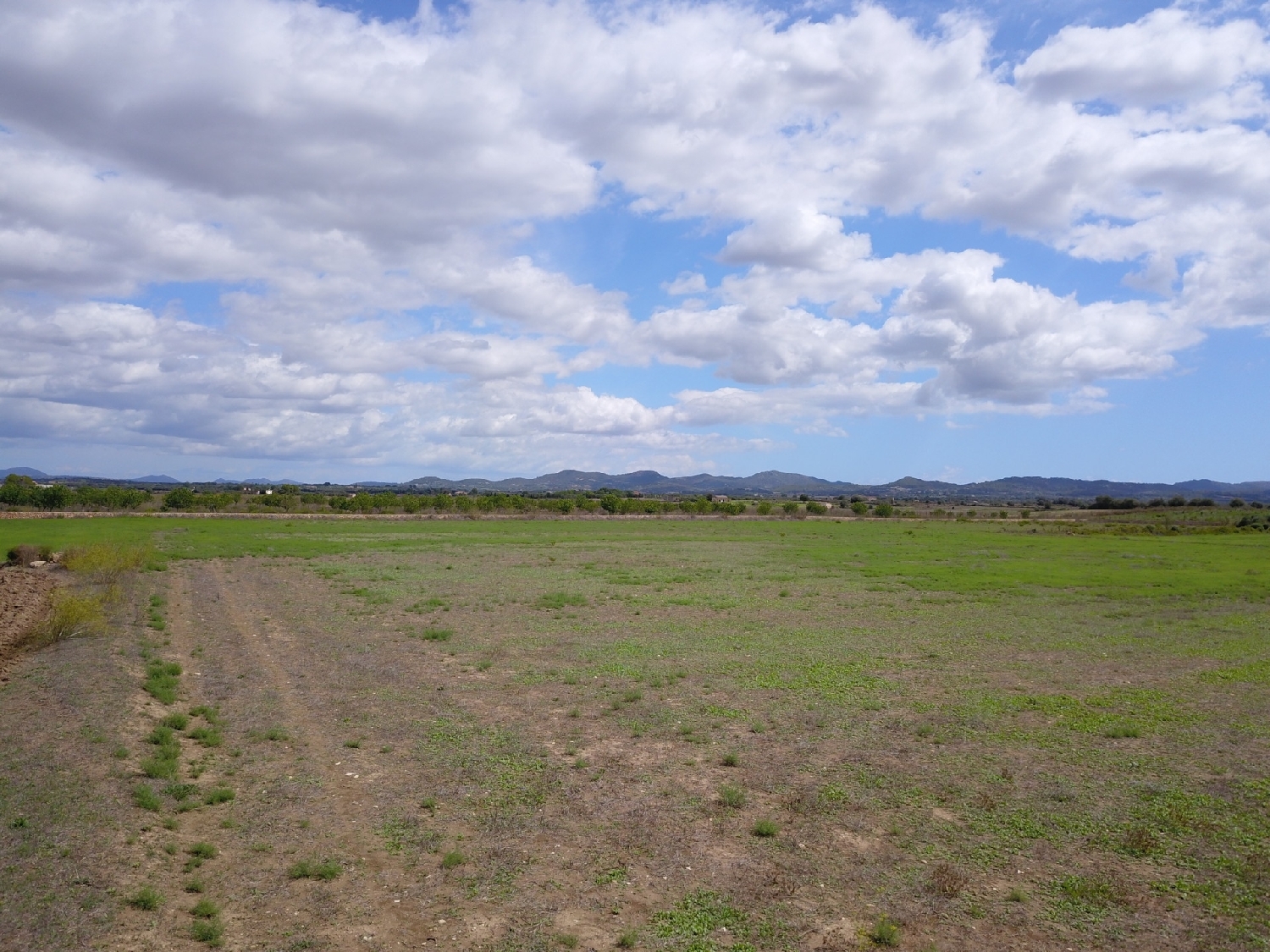  en venta terreno Felanitx Sud 2