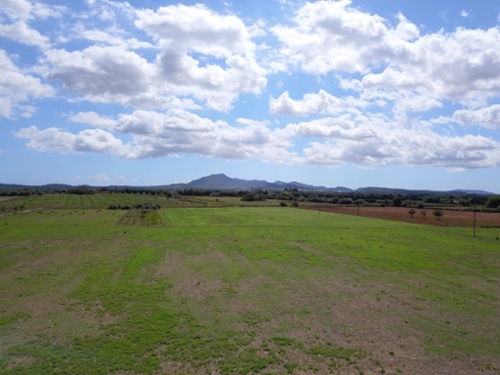 Felanitx Sud terreno foto 6323861