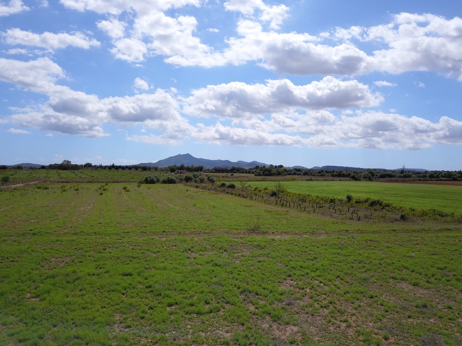  en venta terreno Felanitx Sud 8