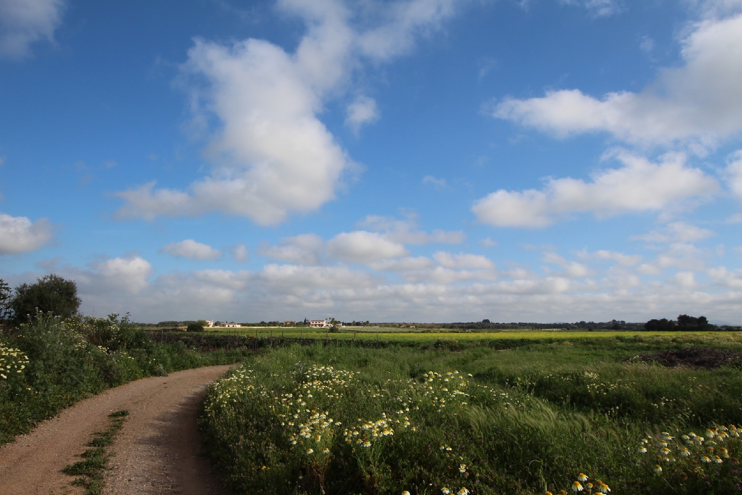  till salu tomt Felanitx Sud 10