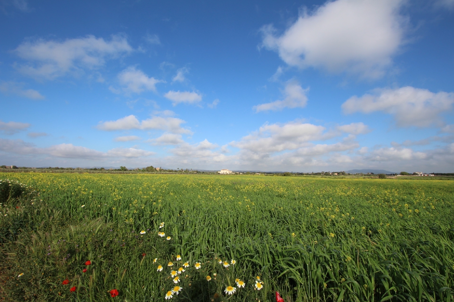  till salu tomt Felanitx Sud 7