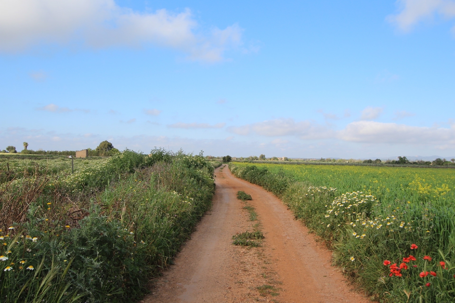  till salu tomt Felanitx Sud 12