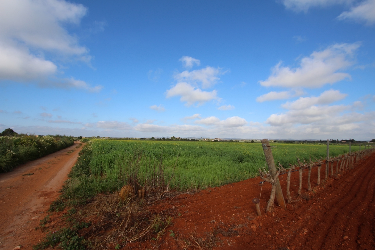  till salu tomt Felanitx Sud 13