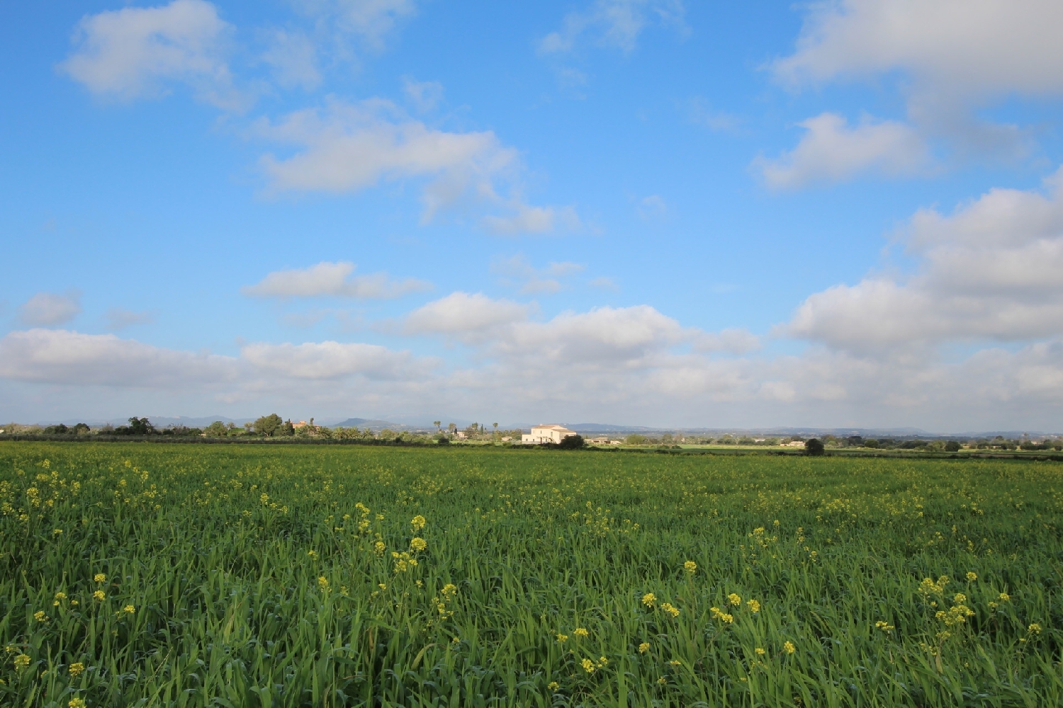  till salu tomt Felanitx Sud 9